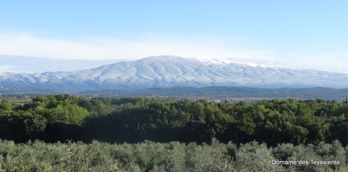 premieres neiges sur le Mont Ventoux