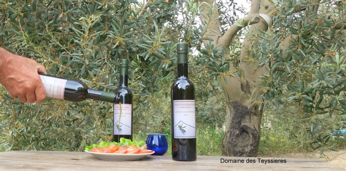 Degustation huile d'olive biologique et AOP Provence